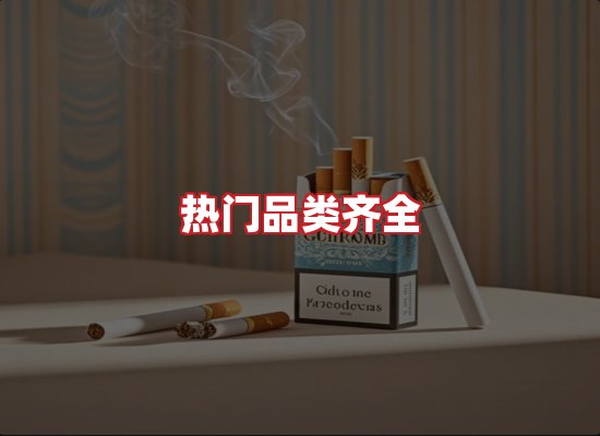 专业团队